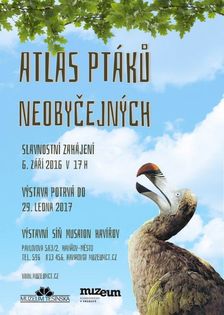 Atlas ptáků neobyčejných - Muzeum Těšínska